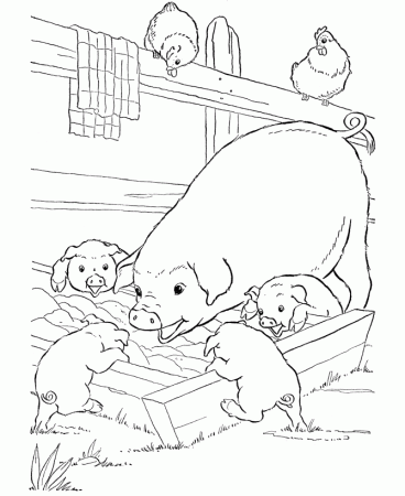 Farm animal coloring page | Pigs slop | kids crafts Barnyard | Pinter…