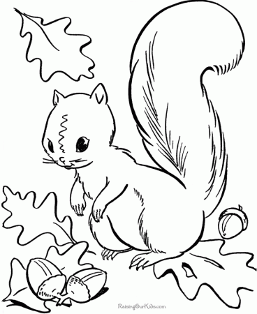 Kids Coloring Sheet | Printable Coloring Pages for Kids