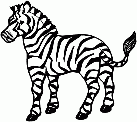 cute zebra coloring pages for kids | Great Coloring Pages