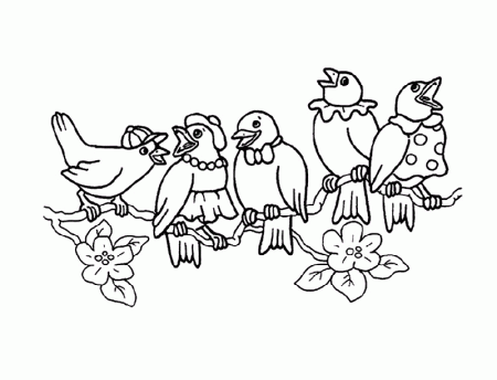 Birds | Free Printable Coloring Pages – Coloringpagesfun.com | Page 2