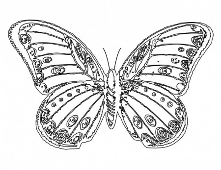 Butterfly Coloring Pages Kids Id 65887 Uncategorized Yoand 269499 