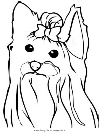 yorkshaire terrier Colouring Pages