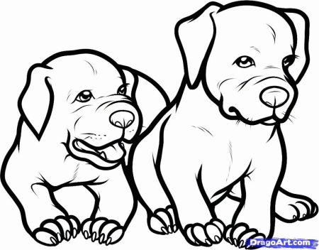 coloring-pages-pitbulls-pictures-imagixs-710935 Â« Coloring Pages ...