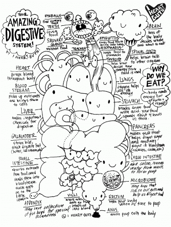 Free Stuff – tagged "digestive system" – I Heart Guts