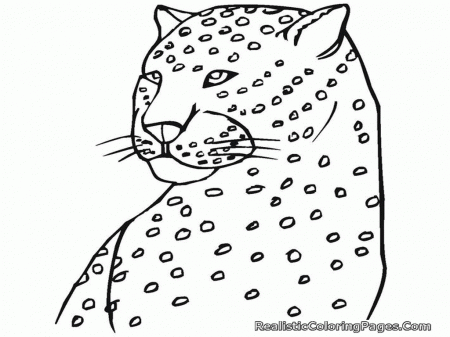 Free Coloring Pages Of Cheetah | Realistic Coloring Pages