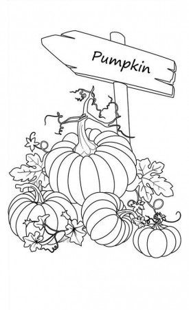 Pumpkins, : Sign of Pumpkins Garden Coloring Page | Patterns for ...