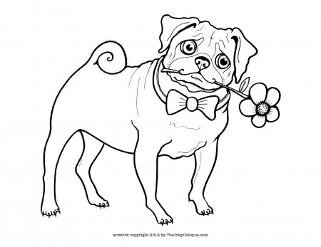 Printable Pug Coloring Page - The Inky Octopus