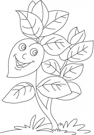 Basil plant coloring page | Mickey mouse coloring pages, Coloring pages,  Mouse color