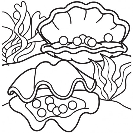 oyster coloring page - Clip Art Library