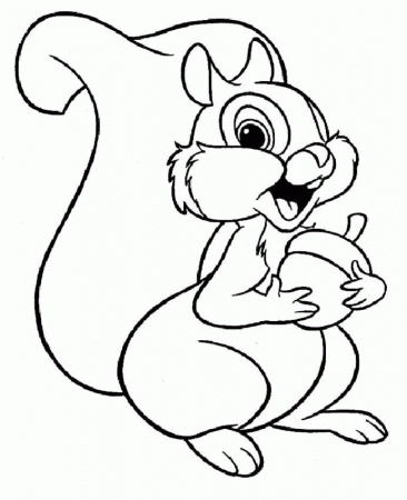 10 Pics of Squirrel Coloring Pages For Preschool - Squirrel ...
