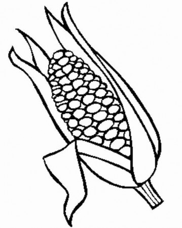 Corn Stalk Coloring Page
