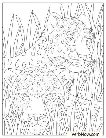 Free CHEETAH Coloring Pages for Download (Printable PDF) - VerbNow