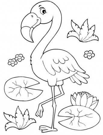 Flamingo coloring pages - 100 Printable coloring pages