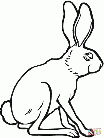 Jack Rabbit Coloring Page - Get Coloring Pages