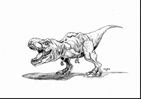 magnificent-jurassic-park-rex-coloring-pages-with-velociraptor-coloring-page-and-velociraptor-printable-…  | Jurassic park t rex, Jurassic park tattoo, Jurassic park