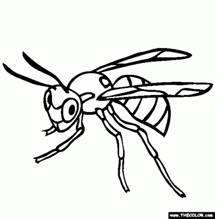 Insect wasp coloring page | Ashla.abimillepattes.com