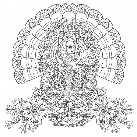 Thanksgiving Turkey Adult Coloring Pages Staggering Image Ideas –  Approachingtheelephant