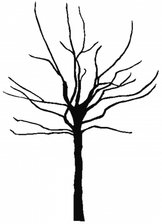 Fall tree coloring page - Coloring Pages Pictures - IMAGIXS - Clip ...