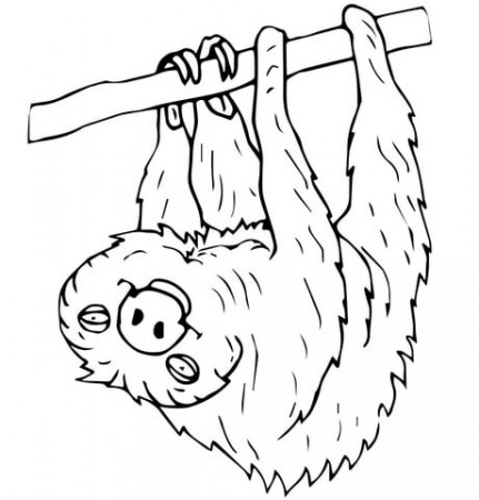 Two Toed Sloth coloring page | Free Printable Coloring Pages