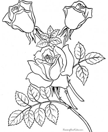 Free Printable Flower Coloring Pages | Free Printable Flower ...