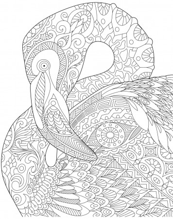 Flamingos, PDF Coloring Book - Enjoy ...