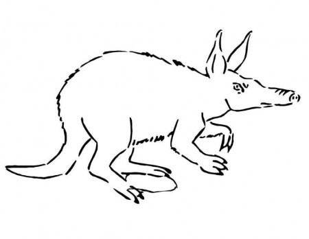 Coloring pages: Aardvark, printable for kids & adults, free