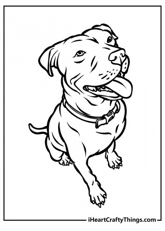 Printable Pitbull Coloring Pages (Updated 2022)