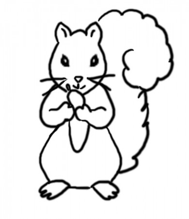 Coloring Pages Flying Squirrel Coloring Pages Squirrel Squirrel ...