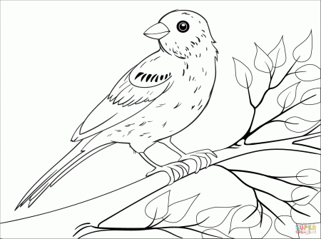 Bunting coloring page | Free Printable Coloring Pages