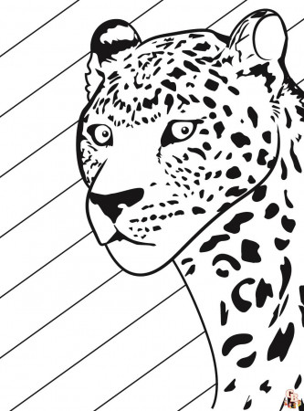 Leopard Coloring Pages - Free Printable Sheets for Kids