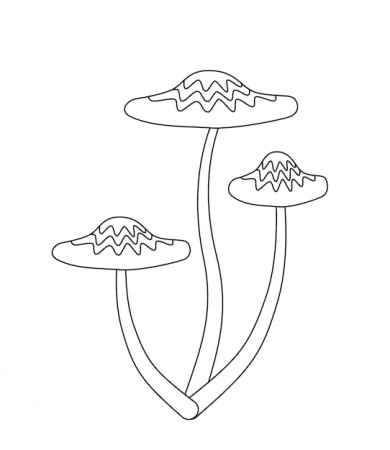 Premium Vector | Toxic mushrooms coloring page black and white toadstool  vector