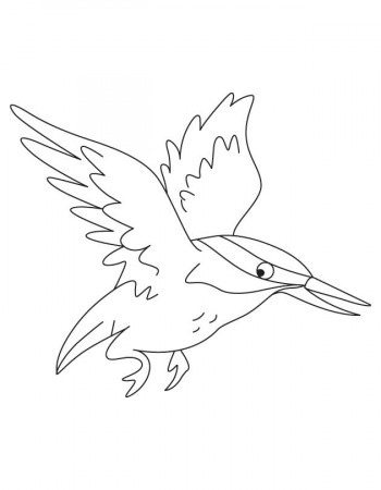 Flying kingfisher coloring pages | Download Free Flying kingfisher coloring  pages for kids | Best Coloring Pages