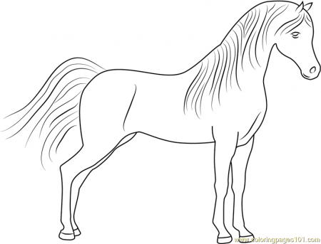 Cute Horse Coloring Page for Kids - Free Horse Printable Coloring Pages  Online for Kids - ColoringPages101.com | Coloring Pages for Kids
