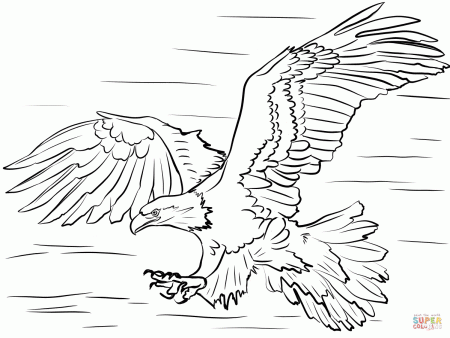 Bald Eagle Diving for Prey coloring page | Free Printable Coloring Pages