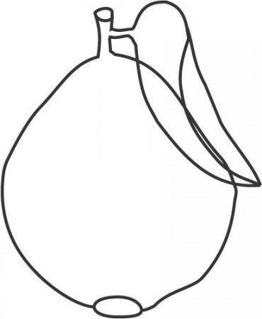 Guava Fruit Colouring Pages Sketch Coloring Page - ClipArt Best - ClipArt  Best