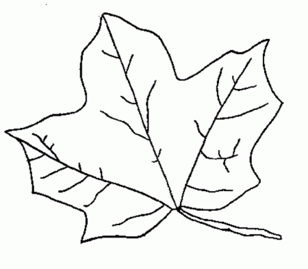 Pumpkin Leaf Printable Clipart - Clipart Kid