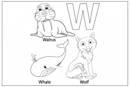 Coloring sheet from letter W for kids