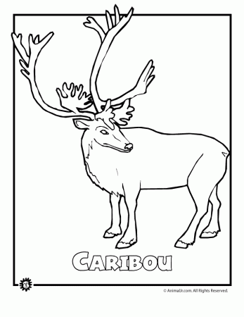 endangered-caribou | Woo! Jr. Kids Activities