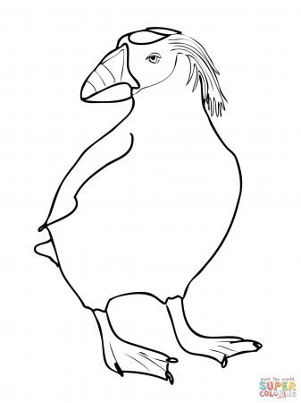 Tufted Puffin coloring page | Free Printable Coloring Pages