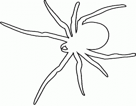 7 Pics of Halloween Spider Coloring Pages Printable - Tarantula ...