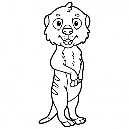Premium Vector | Illustration coloring page with cartoon baby meerkat
