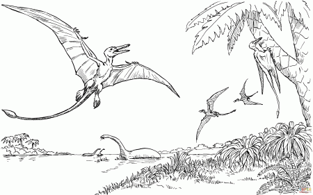 Rhamphorhynchus coloring page | Free Printable Coloring Pages