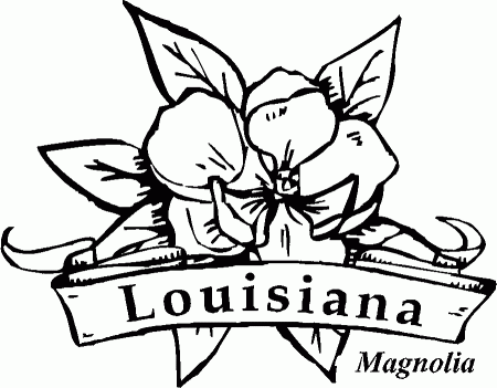 Magnolia Coloring Pages - Best Coloring Pages For Kids