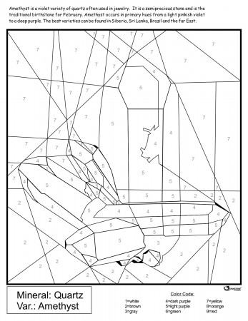 Natural History Coloring Sheets | New Mexico Museum of Natural History &  Science