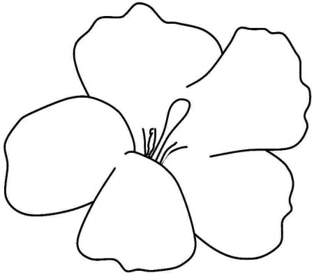 8 Best Images of Free Printable Hibiscus - Hibiscus Flower Outline ...