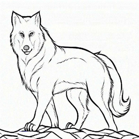 peter and the wolf coloring pages - Printable Kids Colouring Pages