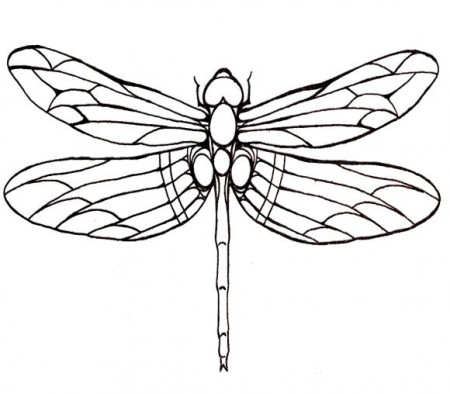 Dragonfly Large Winged Coloring Page For Kids | Dragonfly drawing, Coloring  pages, Dragonfly art