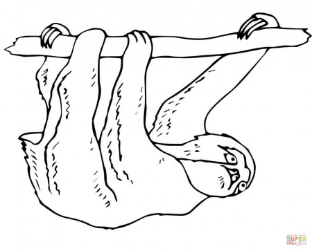 Sloths coloring pages | Free Coloring Pages