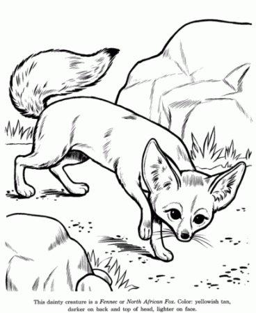 35 Free Fox Coloring Pages Printable