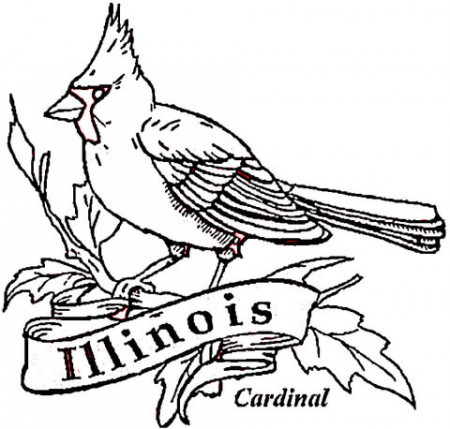 Cardinal Bird Of Illinois coloring page | Free Printable Coloring ...